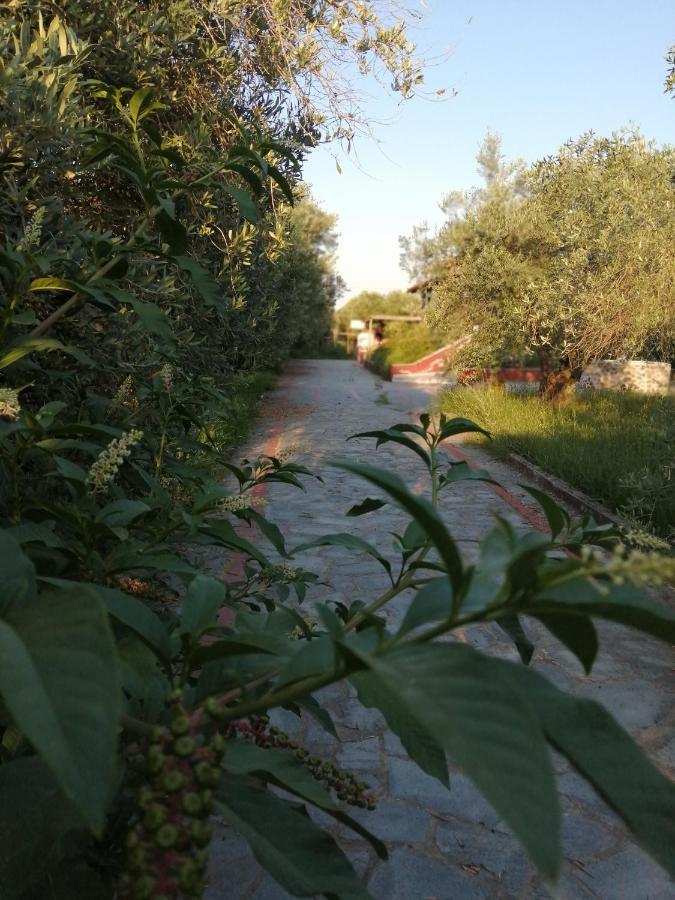 לריסוס Xaroula Apartments מראה חיצוני תמונה